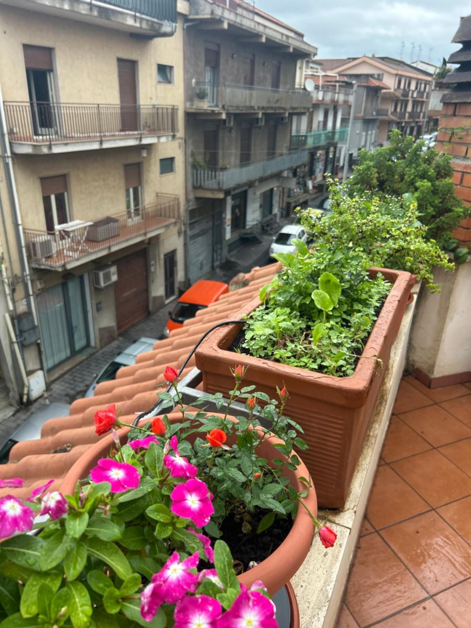 Apartment Casa Maretna Aci Castello
